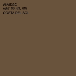 #6A533C - Costa Del Sol Color Image