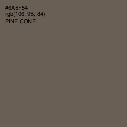 #6A5F54 - Pine Cone Color Image