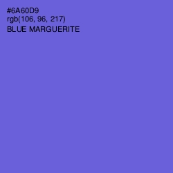 #6A60D9 - Blue Marguerite Color Image