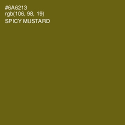 #6A6213 - Spicy Mustard Color Image