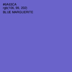 #6A63CA - Blue Marguerite Color Image