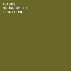 #6A6829 - Fern Frond Color Image