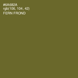#6A682A - Fern Frond Color Image