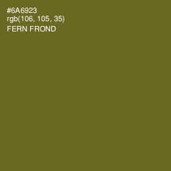 #6A6923 - Fern Frond Color Image