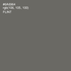 #6A6964 - Flint Color Image