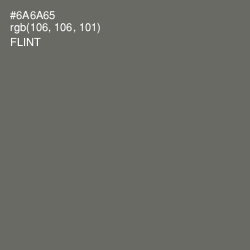 #6A6A65 - Flint Color Image