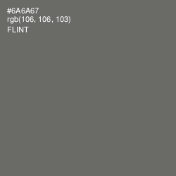 #6A6A67 - Flint Color Image