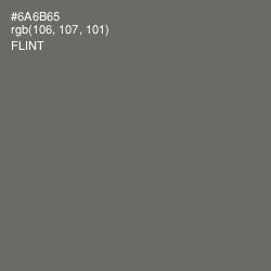 #6A6B65 - Flint Color Image