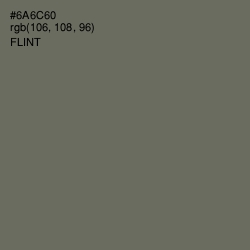 #6A6C60 - Flint Color Image