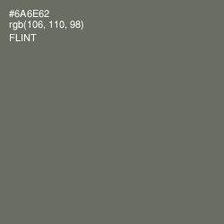 #6A6E62 - Flint Color Image