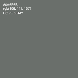 #6A6F6B - Dove Gray Color Image