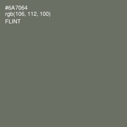 #6A7064 - Flint Color Image