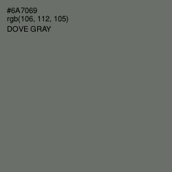 #6A7069 - Dove Gray Color Image