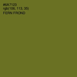 #6A7123 - Fern Frond Color Image