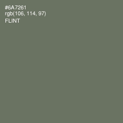 #6A7261 - Flint Color Image