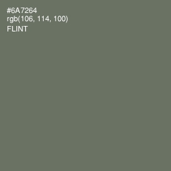 #6A7264 - Flint Color Image