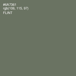 #6A7361 - Flint Color Image