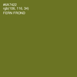 #6A7422 - Fern Frond Color Image