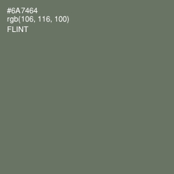 #6A7464 - Flint Color Image