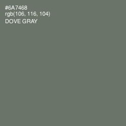 #6A7468 - Dove Gray Color Image