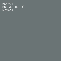 #6A7474 - Nevada Color Image