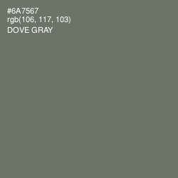 #6A7567 - Dove Gray Color Image