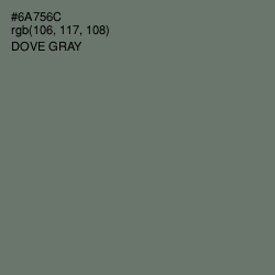 #6A756C - Dove Gray Color Image