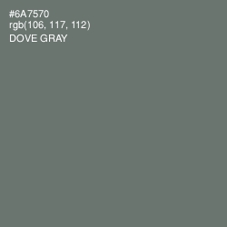 #6A7570 - Dove Gray Color Image