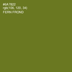 #6A7822 - Fern Frond Color Image