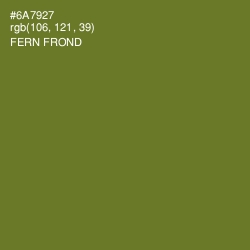 #6A7927 - Fern Frond Color Image