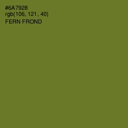 #6A7928 - Fern Frond Color Image