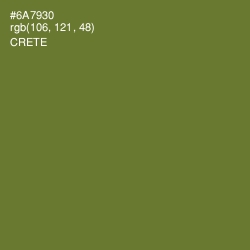 #6A7930 - Crete Color Image