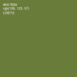 #6A7B39 - Crete Color Image