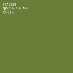 #6A7E38 - Crete Color Image