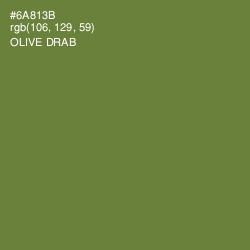 #6A813B - Olive Drab Color Image