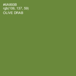 #6A893B - Olive Drab Color Image