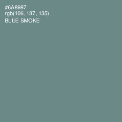 #6A8987 - Blue Smoke Color Image