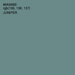 #6A8A89 - Juniper Color Image