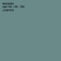 #6A8A8A - Juniper Color Image