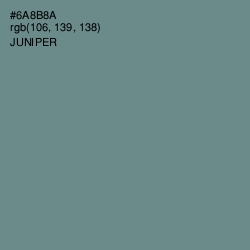 #6A8B8A - Juniper Color Image