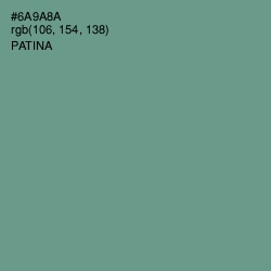 #6A9A8A - Patina Color Image