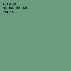 #6A9C80 - Patina Color Image