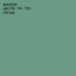 #6A9C85 - Patina Color Image