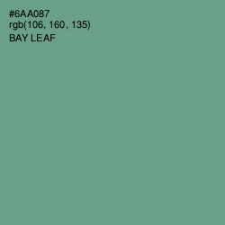 #6AA087 - Bay Leaf Color Image