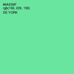 #6AE59F - De York Color Image