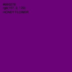 #6B0278 - Honey Flower Color Image