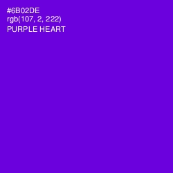 #6B02DE - Purple Heart Color Image