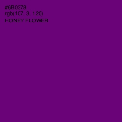 #6B0378 - Honey Flower Color Image