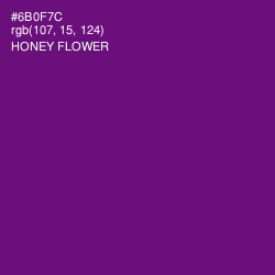 #6B0F7C - Honey Flower Color Image