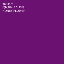 #6B1171 - Honey Flower Color Image